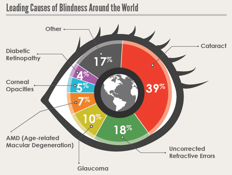 Pie chart showing the causes of blindness around the world